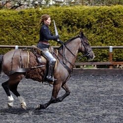 Royal Armouries Easter Joust