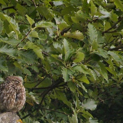 St Aidens Nature Reserve